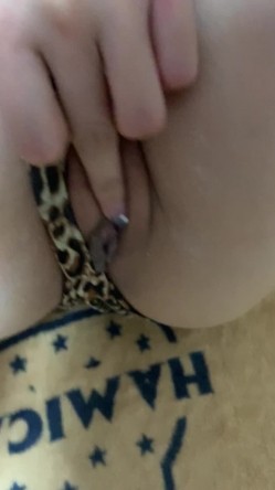 预览图8