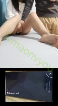 预览图4