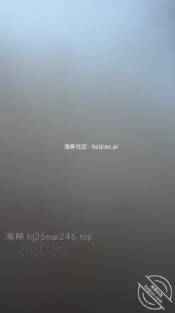 预览图8