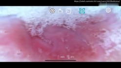 预览图16