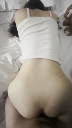 预览图15