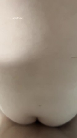 预览图13