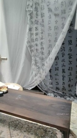 预览图15