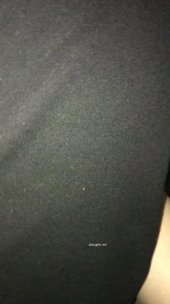 预览图9