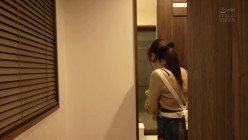 预览图4