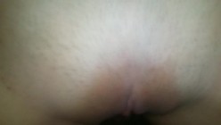 预览图5