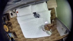 预览图5