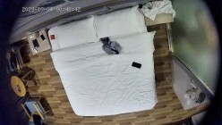 预览图7