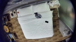 预览图8