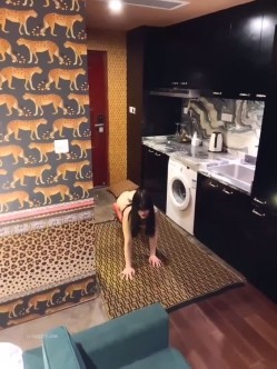 预览图4
