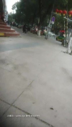 预览图5