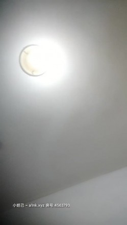 预览图14