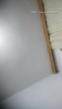 预览图15