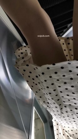 预览图4