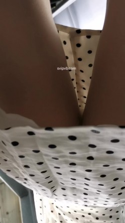 预览图5