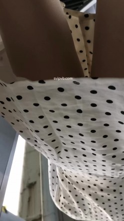 预览图6