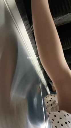 预览图8