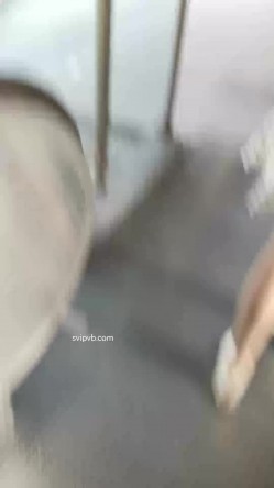 预览图13