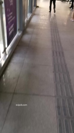 预览图15