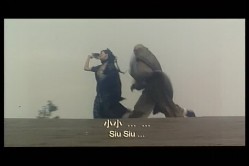 预览图15