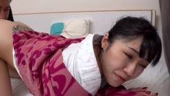 预览图5