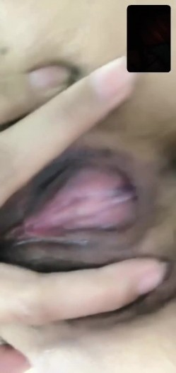 预览图11