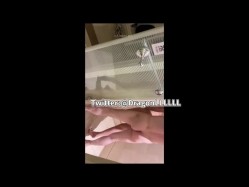 预览图6
