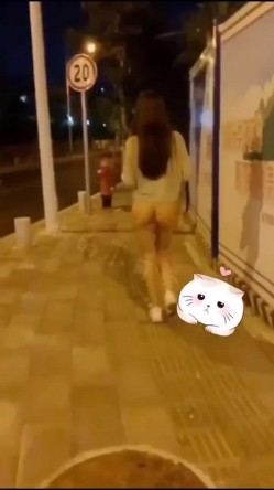 预览图15