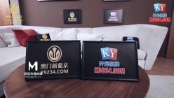 预览图5