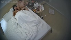 预览图1