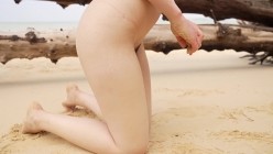 预览图6