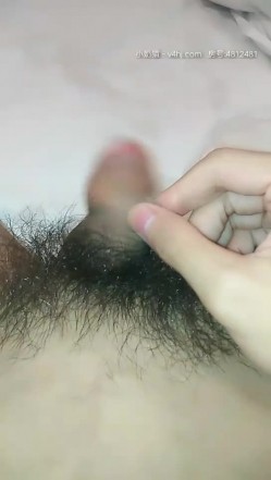 预览图13