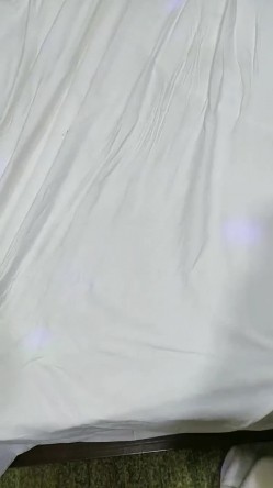预览图16