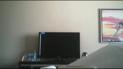 预览图2