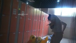 预览图11