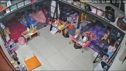 预览图7