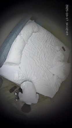 预览图7