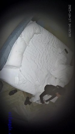 预览图8