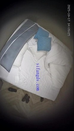 预览图14