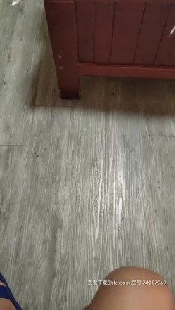 预览图1