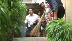 预览图1