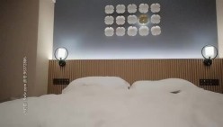 预览图13