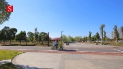 预览图3