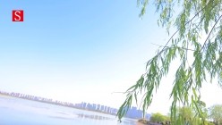 预览图12