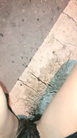 预览图4