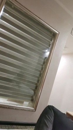 预览图4
