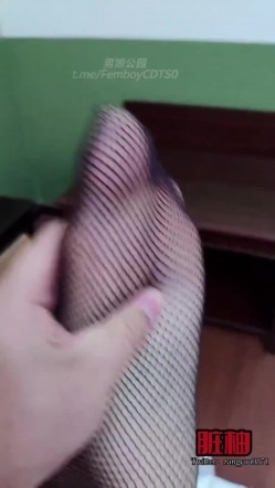 预览图12