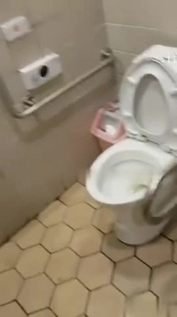 预览图2
