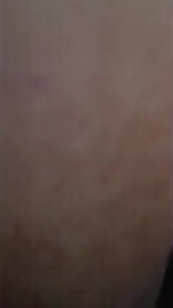 预览图10