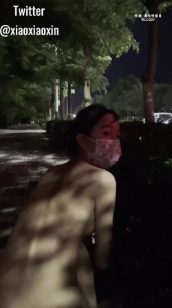 预览图14